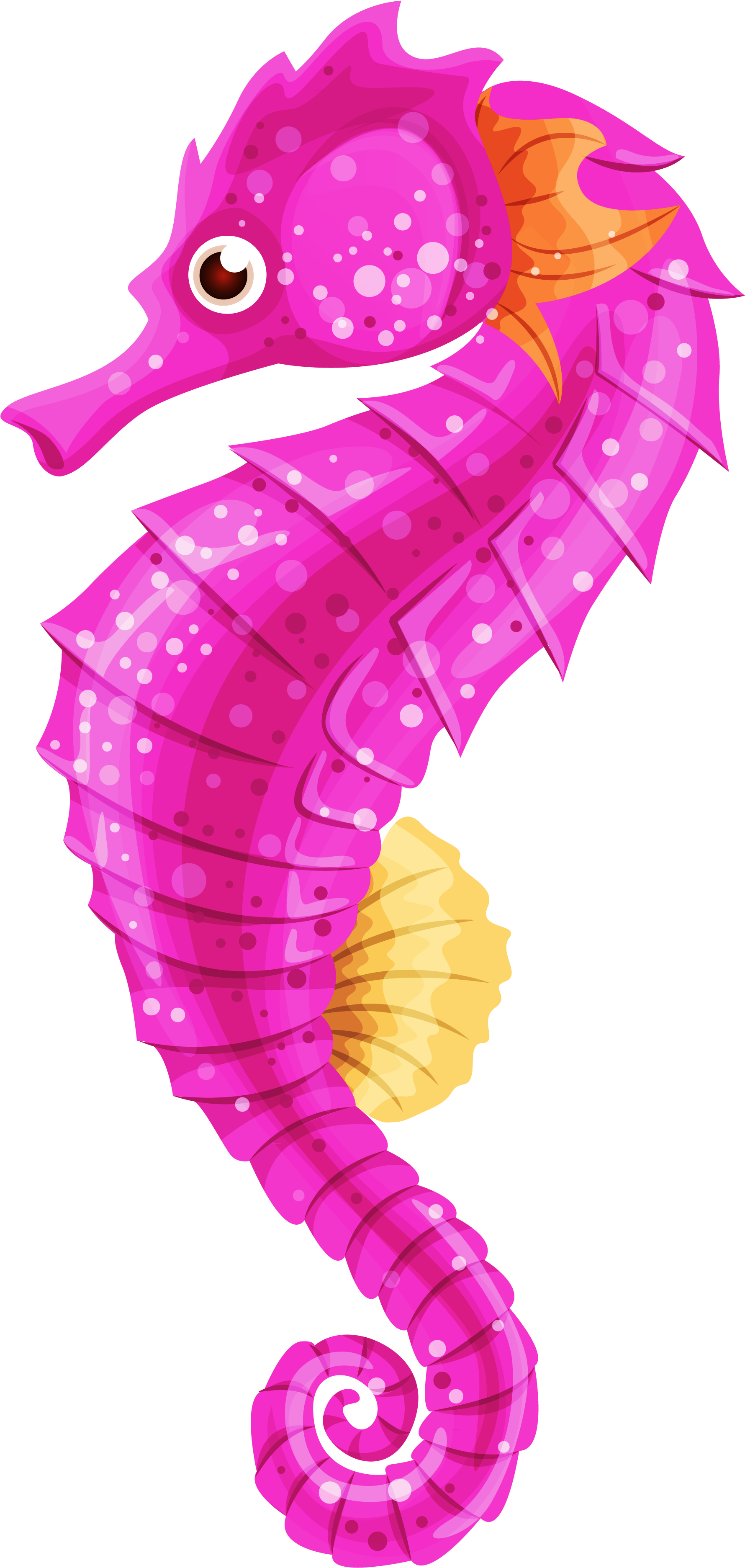 Seahorse Png Clip Art - Sea Horse Clip Art (1896x3851)