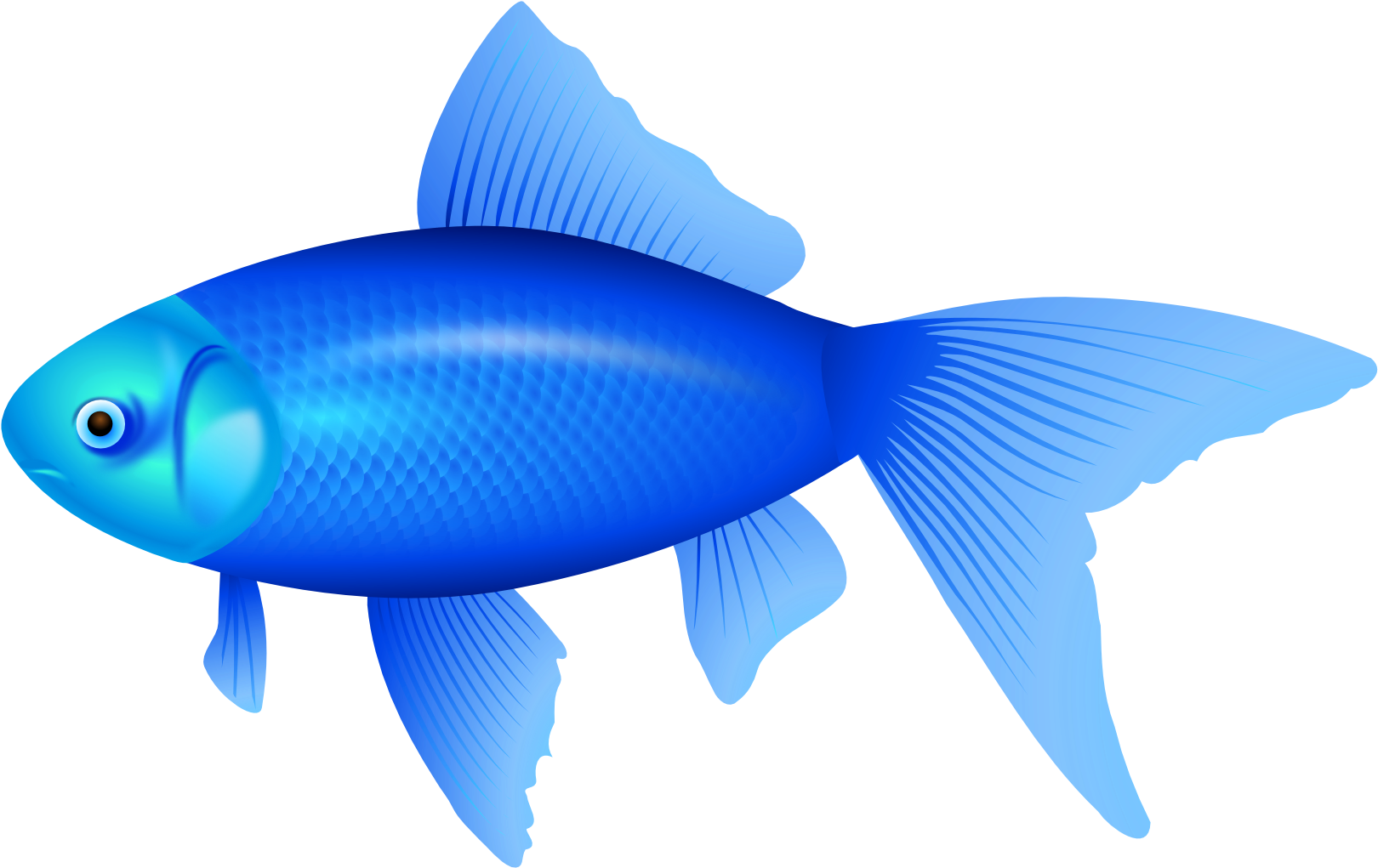 Blue Fish Png Clipart Image - Blue Fish Clipart (1680x1058)
