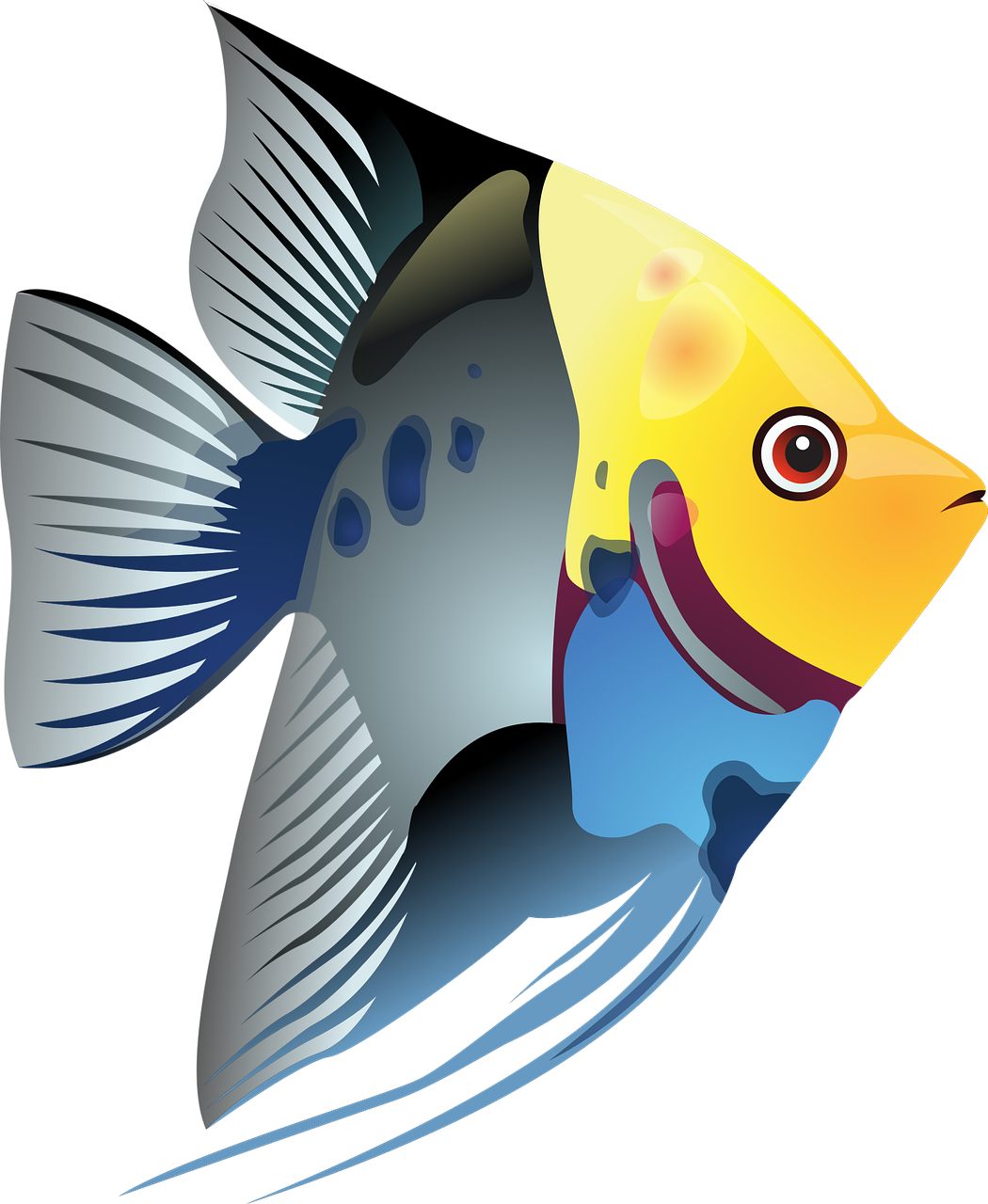 Draw A Simple Fish 10 Step By Step Drawing Lessons, - Clip Art Tropical Fish (1050x1280)