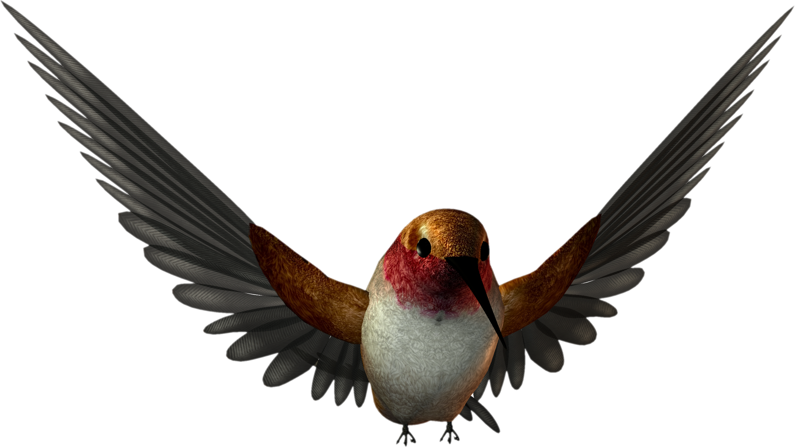 Free High Resolution Clipart - Free Png (1600x900)