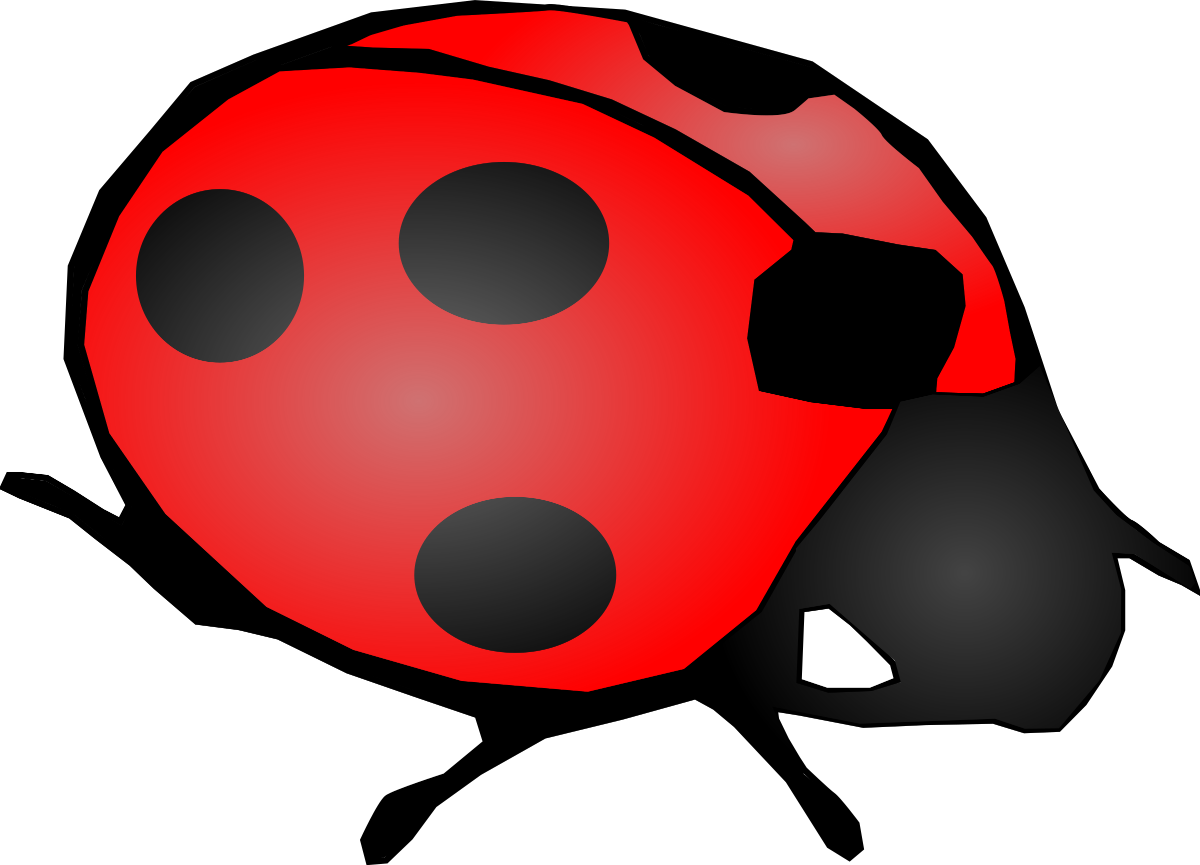Clipart Tags - - Ladybug Clipart Black And White (2400x1731)