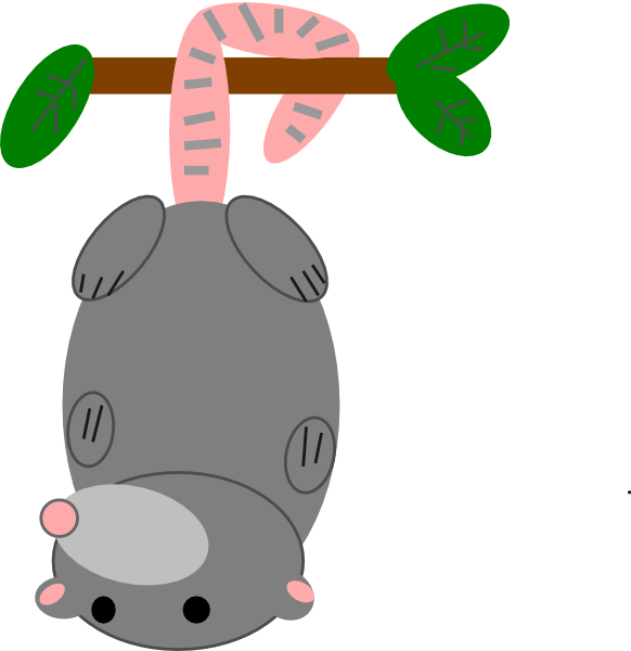 Possum Clipart - Clipart Opossum (582x600)