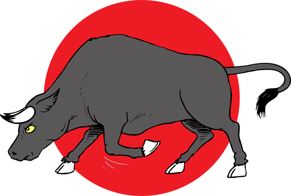 Bull Preparing To Charge Clip Art - Charge Clipart (1280x862)