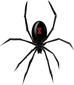 Spider Design Black Widow - Sunshine Design Cases Black Widow Dj Turntable Slipmat (900x788)