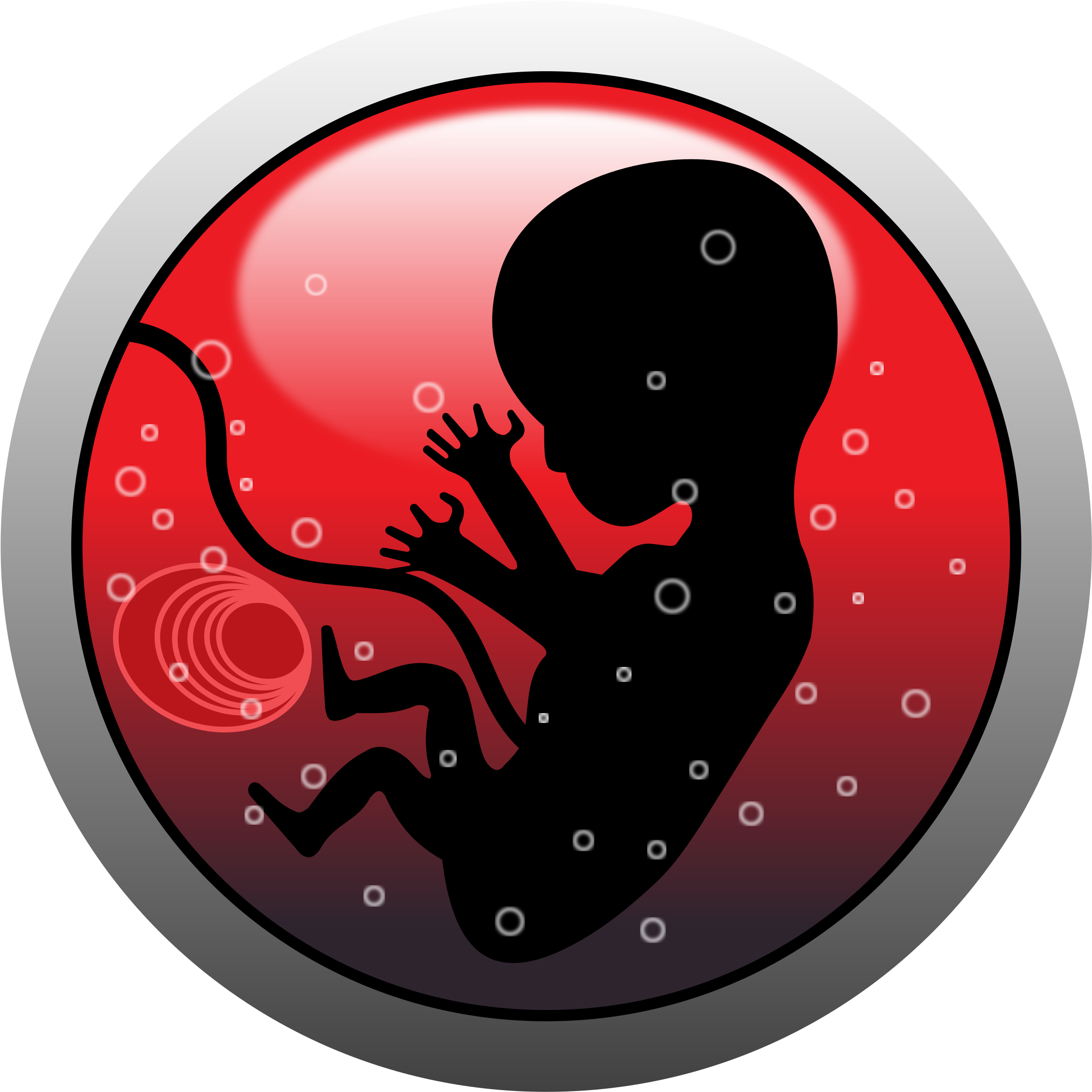 A Fetus In The Womb Hears Mostly Low-frequency Sounds, - Baby On Board 60" Curtains (2400x2400)