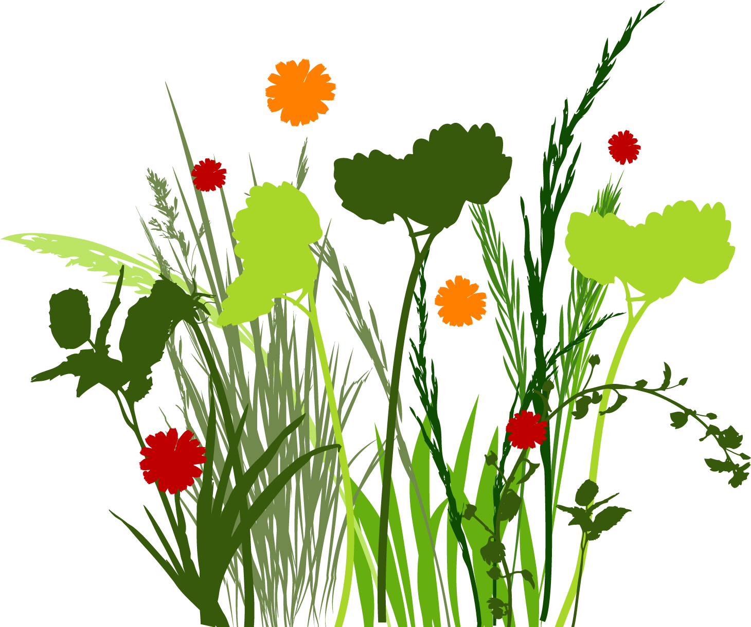 Red Curtain Clip Art - Meadow Graphic (1490x1371)