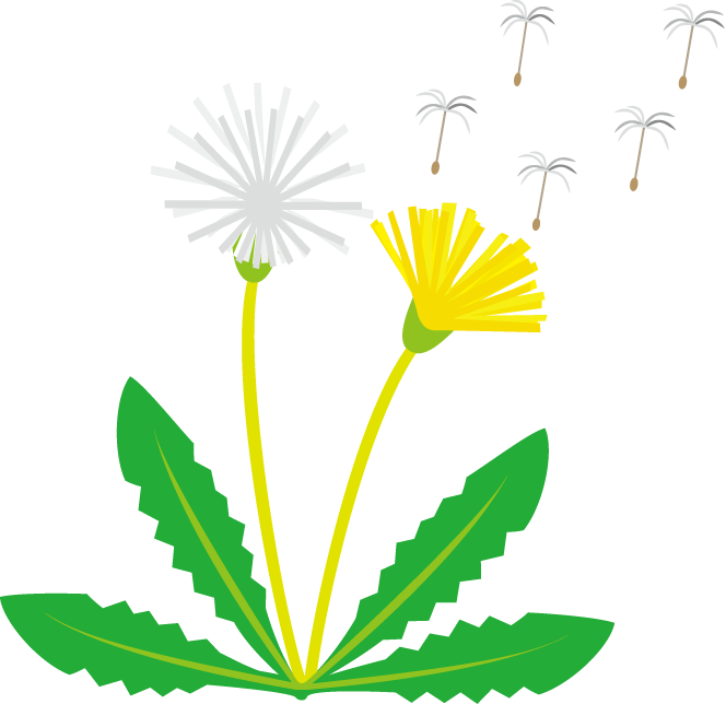 Dandelion Clipart - Clip Art (664x644)