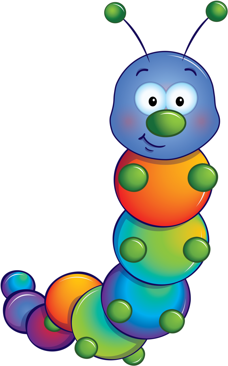 Catipillar - Caterpillar Clip Art Png (804x1280)