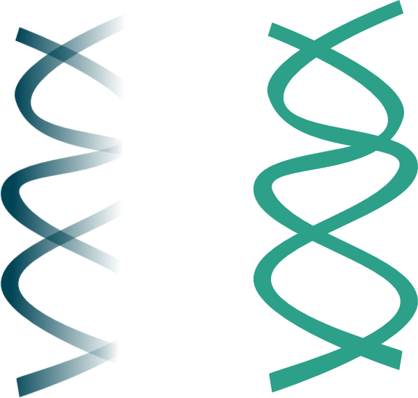 Dna Clip Art - Clipart Dna Png (600x572)