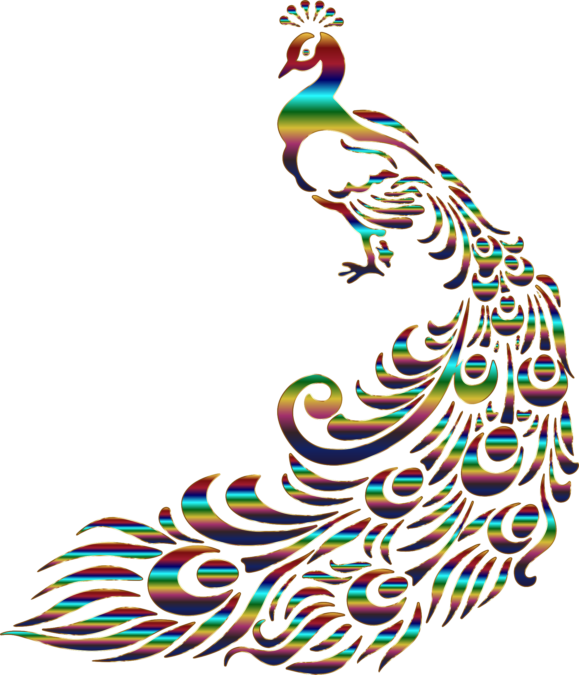 Big Image - Peacock Drawing (1980x2308)