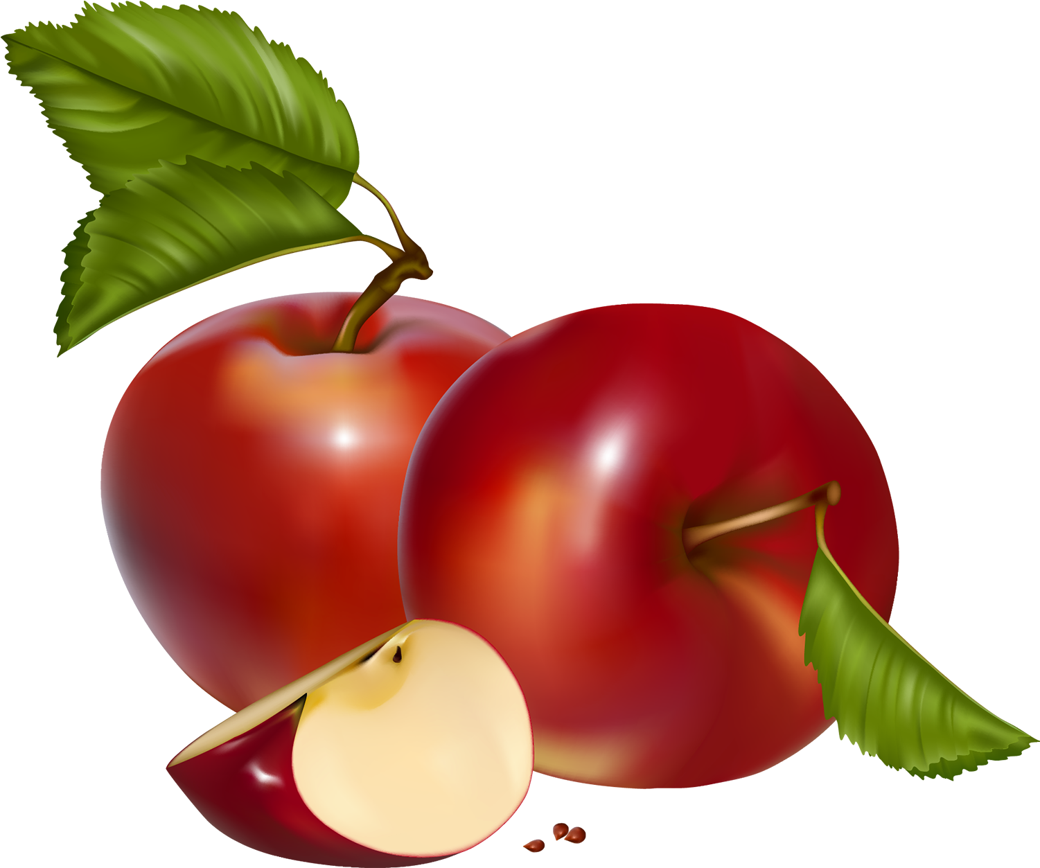 Red Apples Png Clipart - Apples Clipart Png (1554x1296)