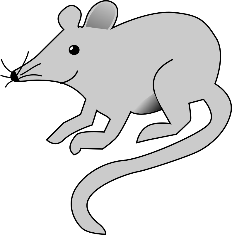 Mouse Clip Art At Clker Com Vector Clip Art Online - Mouse Clip Art (792x800)
