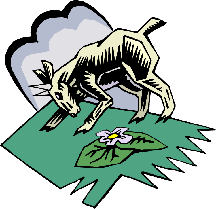 Boer Goat Clipart High Quality Cliparts 4 Free - Clip Art (750x726)