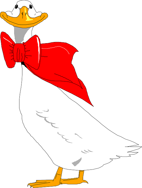 Bird, Wings, Bow, Goose, Neck, With, Feathers - Goose (482x640)