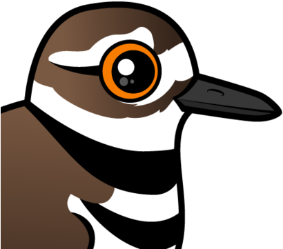Killdeer Are Known And Get Their Name From Their 'broken-wing - Killdeer U. Drei Küken Grußkarte (440x440)