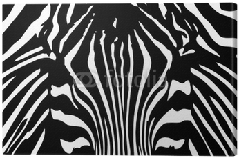 Zebra Vector Png Zebra Vector Png - Zebra Stripes (400x400)