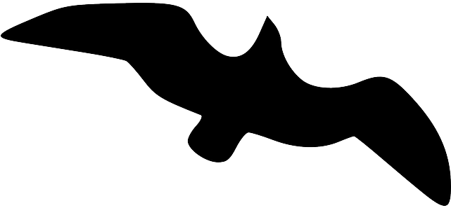 Silhouette, High, Bird, Gull, Flying, Wings - Black Bird Flying Clipart (640x320)