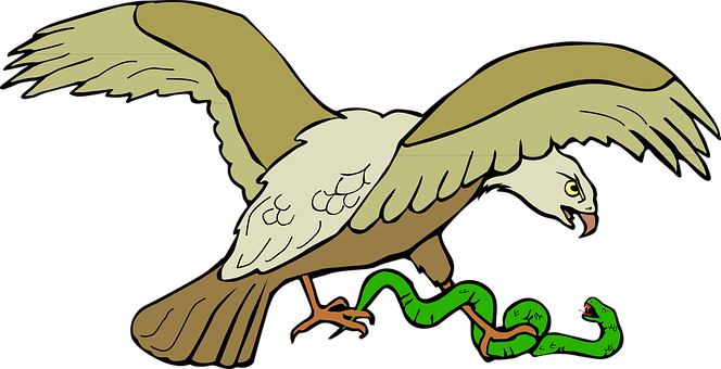 Eagle Snake Kill Bird Wings Claws Caught F - La Serpiente Y El Aguila (664x340)