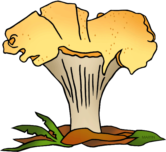 State Mushroom Of Oregon - Biology (648x552)