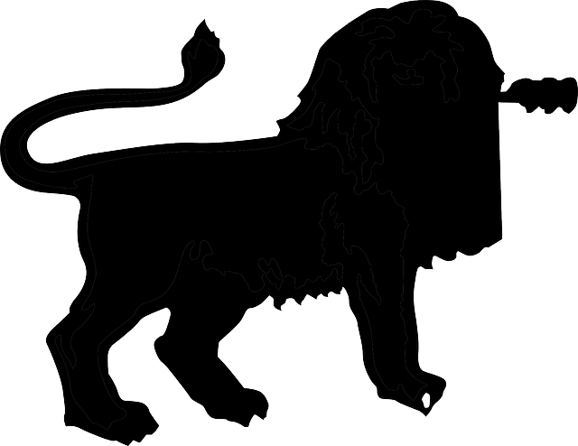 Animal Black, Africa, Silhouette, Lion, Dangerous, - Animales De Africa Silhouette (640x494)