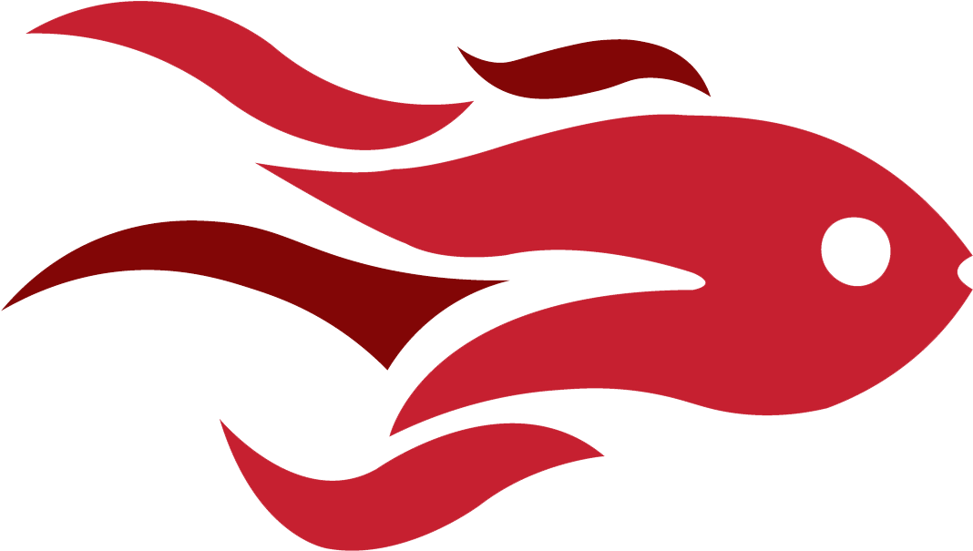 Deejay Exim Limited - Deejay Exim Limited (1204x700)