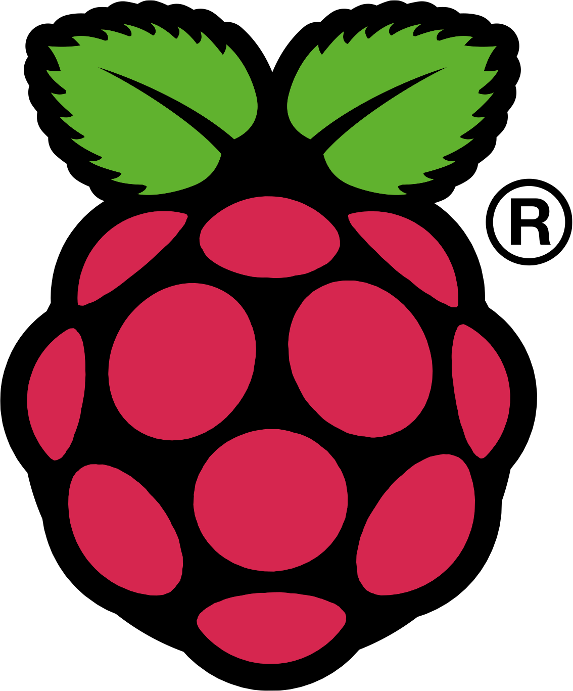 I Finally Got My Shipment Of Raspberry Pis Today And - Raspberry Pi Png (1134x1367)