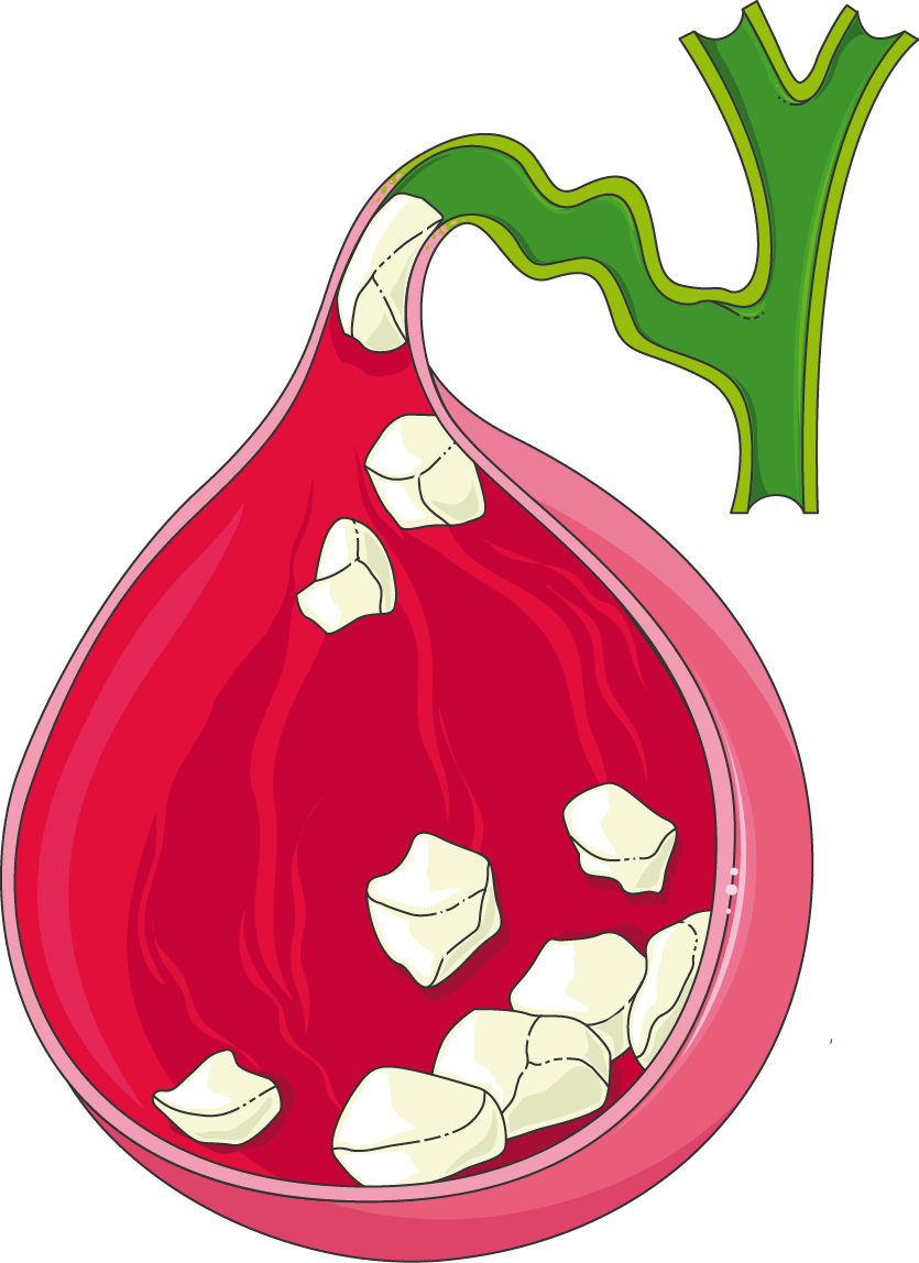 Download The Image - Calculus (835x1148)