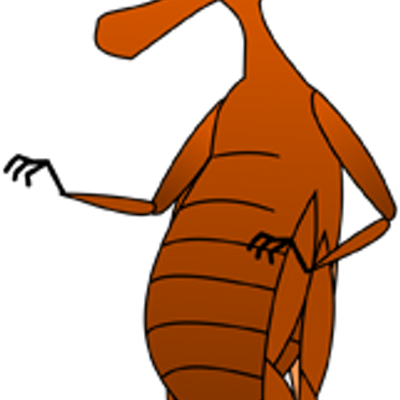 The Cootie Catcher - The Cootie Catcher (400x400)