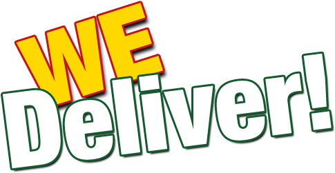 Wok N Roll Port Orange - We Deliver Logo Png (498x262)