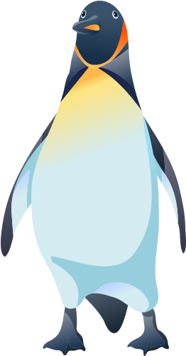 卡通手绘企鹅png元素 - Penguin (500x500)