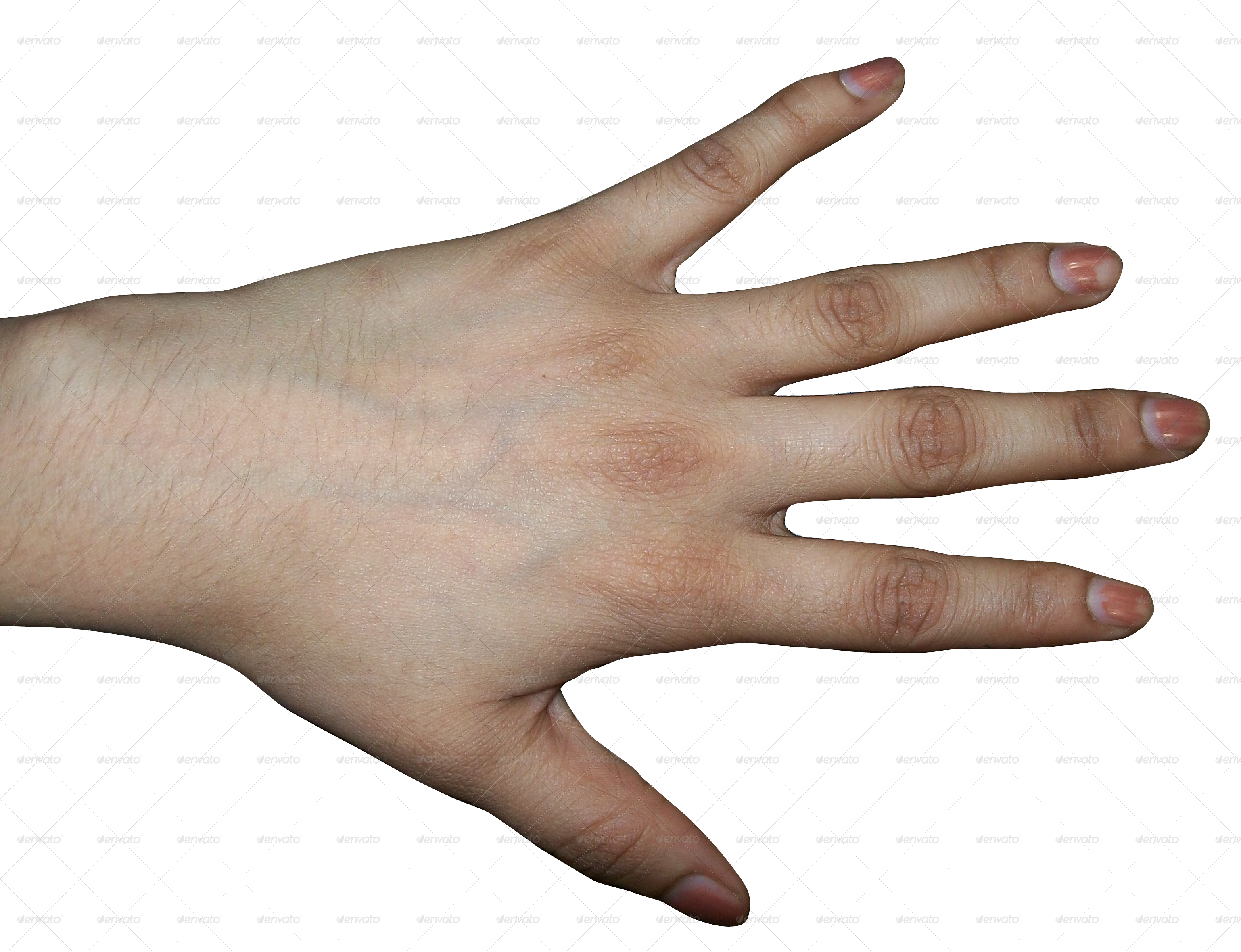 Clipart Info - Back Of Hand Transparent (3076x2360)