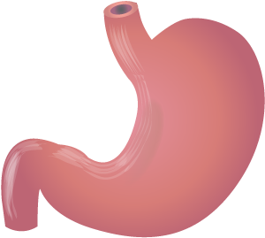 Causes - Stomach Clipart Png (400x400)