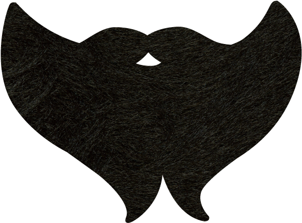 Fake Beards For Photo Booths (600x600)