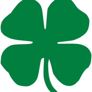 Four Leaf Clover Clip Art At Clker Com Vector Clip - St Patrick's Day Four Leaf Clover (350x350)