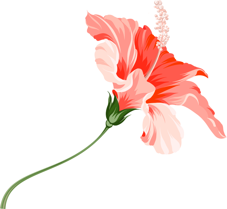 Match Me With A Travel Agent - Hawaiian Hibiscus (764x703)