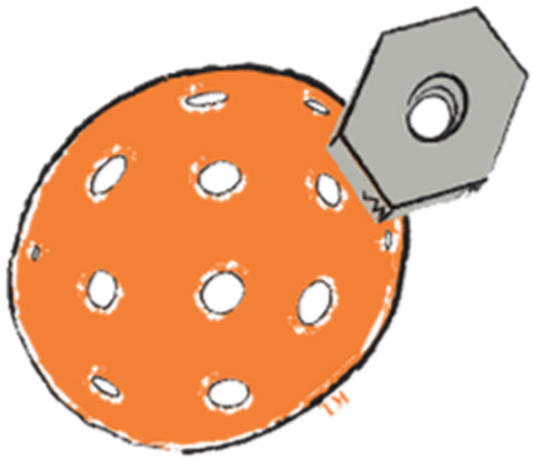 Photo - Pixel (530x530)