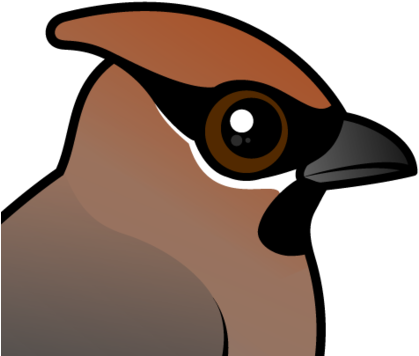 About The Bohemian Waxwing - Bohemian Waxwing (440x440)