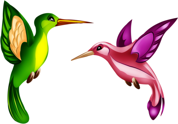 Hummingbirds - Rufous Hummingbird (600x447)