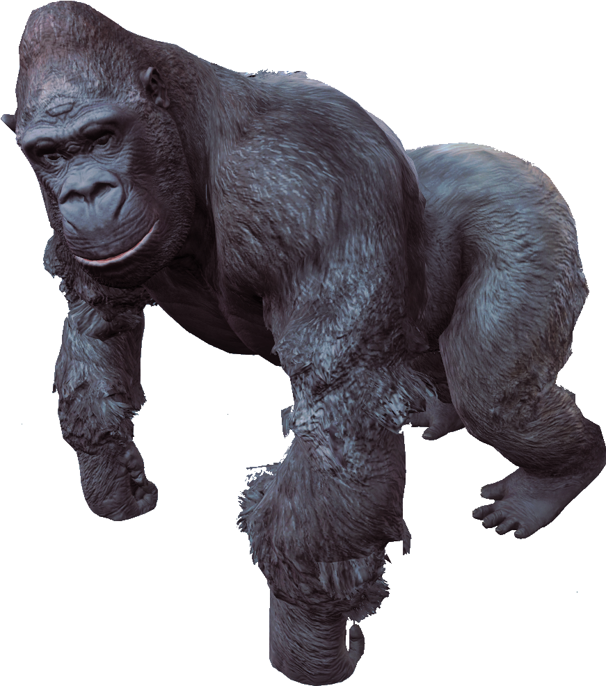 Gorilla Png - Gorilla Png (902x1024)