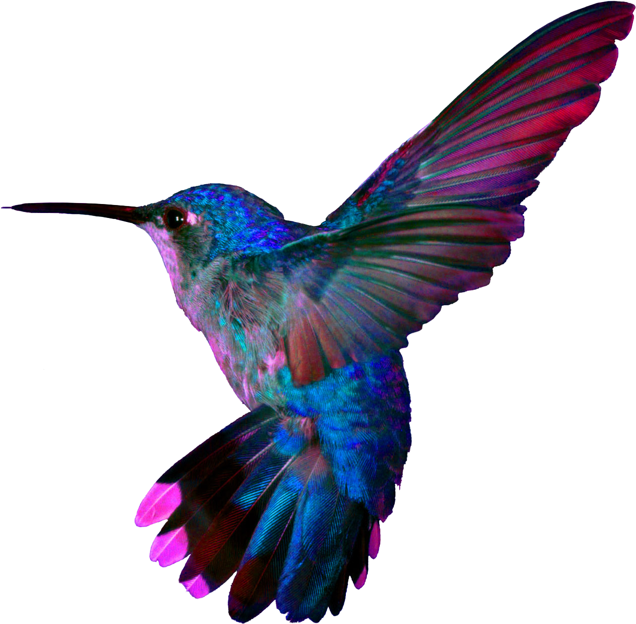 Hummingbird4 - Hummingbird Tattoo (1366x1295)