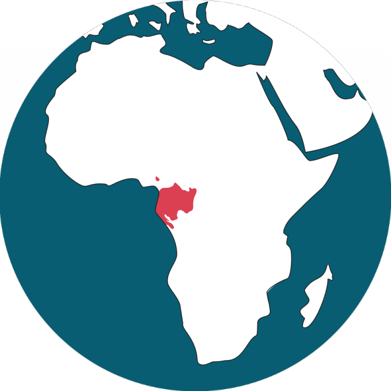 Distribution Map - - Western Lowland Gorillas Located (800x799)