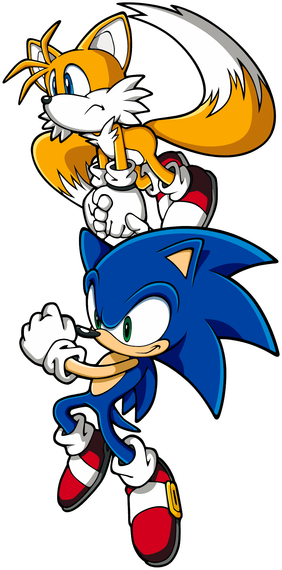 Sonic The Hedgehog And Miles Tails Prower - Sonic The Hedgehog And Miles Tails Prower (953x1927)