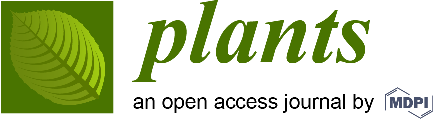 2018 Sponsors - Multidisciplinary Digital Publishing Institute (917x292)