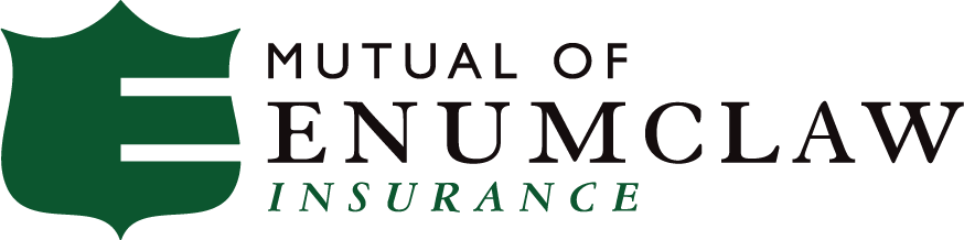 Mutual Of Enumclaw Insurance - Michigan Ross School Of Business (874x218)