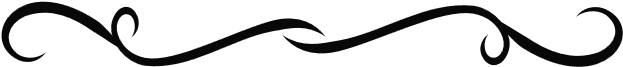 Black Divider No Background Copy Copy2 - Clip Art (640x208)