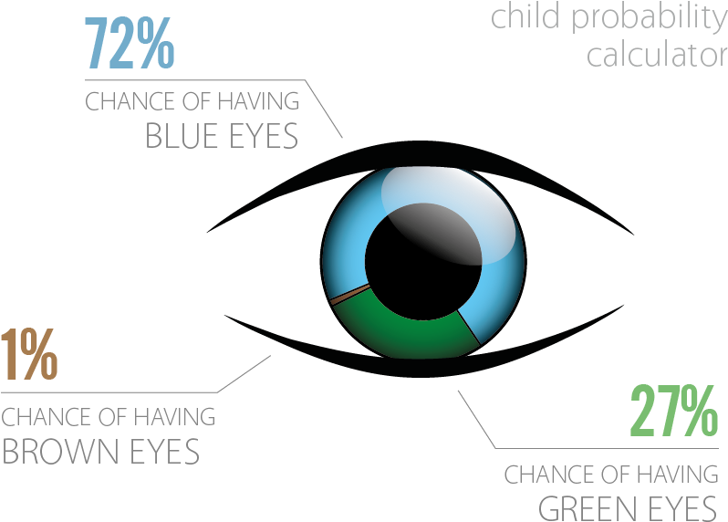 Chromo2 Blue Eyes Child Probability Calculator - Chance Of Having Blue Eyes (797x585)