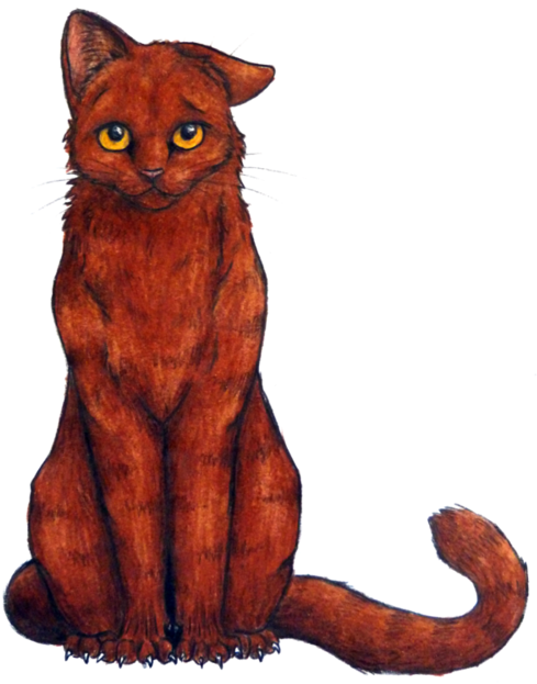 Fernstrike Redish She Cat With Flashing Amber Eyes, - Fernstrike Redish She Cat With Flashing Amber Eyes, (500x654)