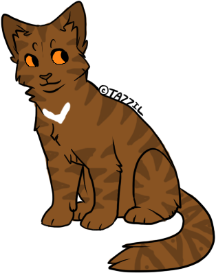 Sleek, Tough Brown Tabby Tom With A Sharp, Clean White - Domestic Short-haired Cat (314x398)