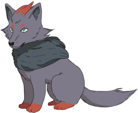 Astrids Art Zorua Is A Slate Gray, Fox Like Pokémon - Schipperke (500x436)