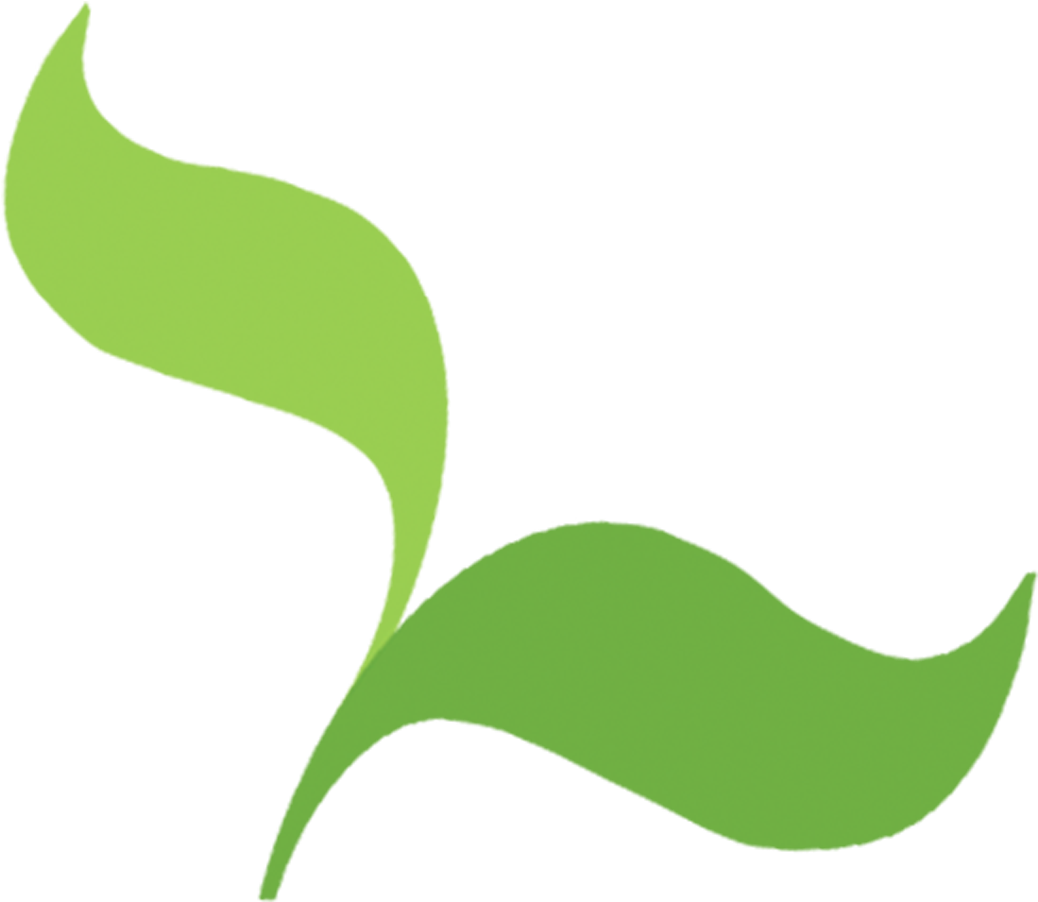 Seedcamp - Seedcamp (1375x1375)